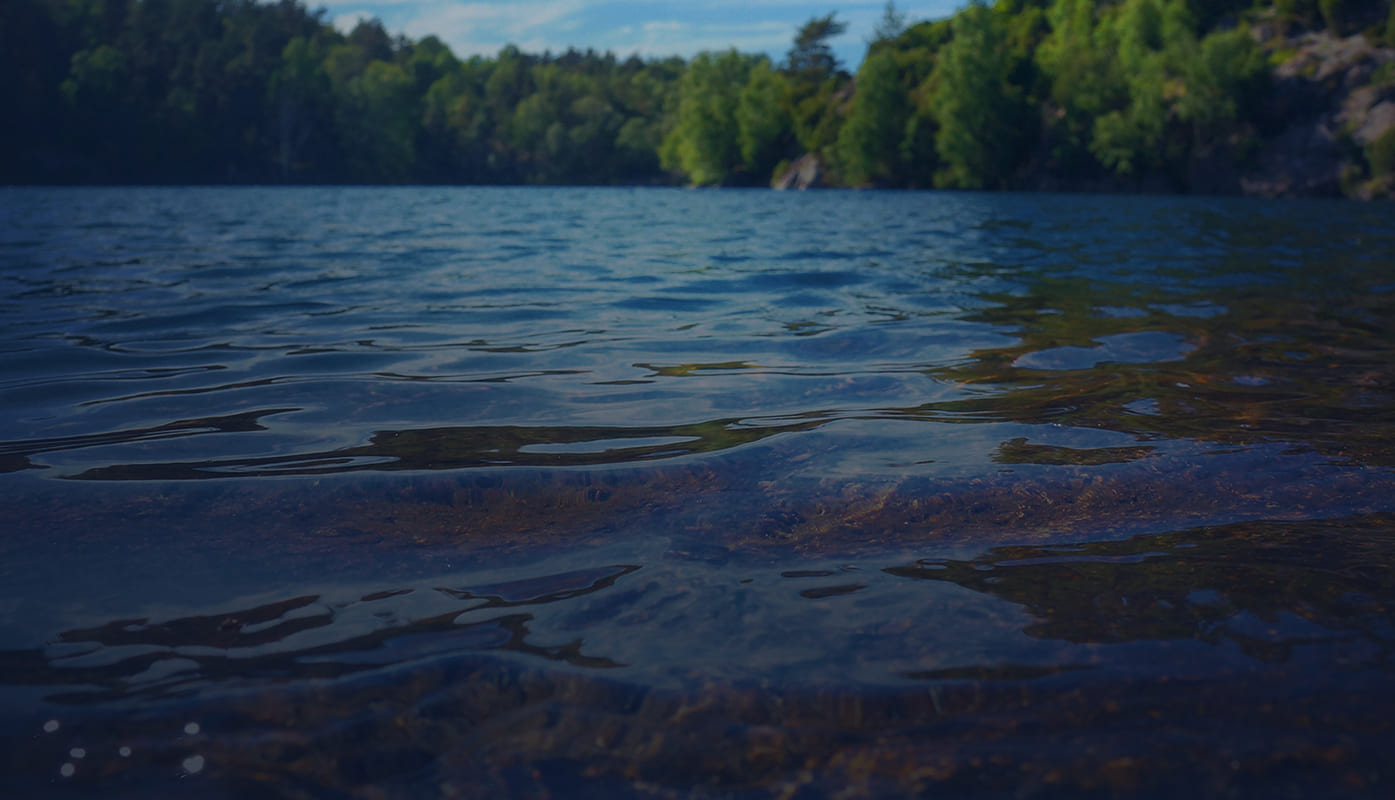 Вода природная заказать